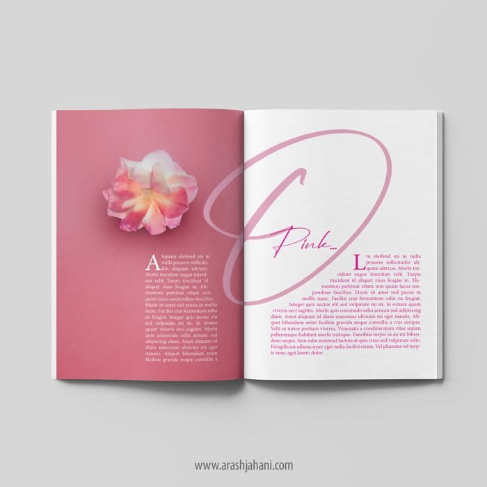 Book Covers 13